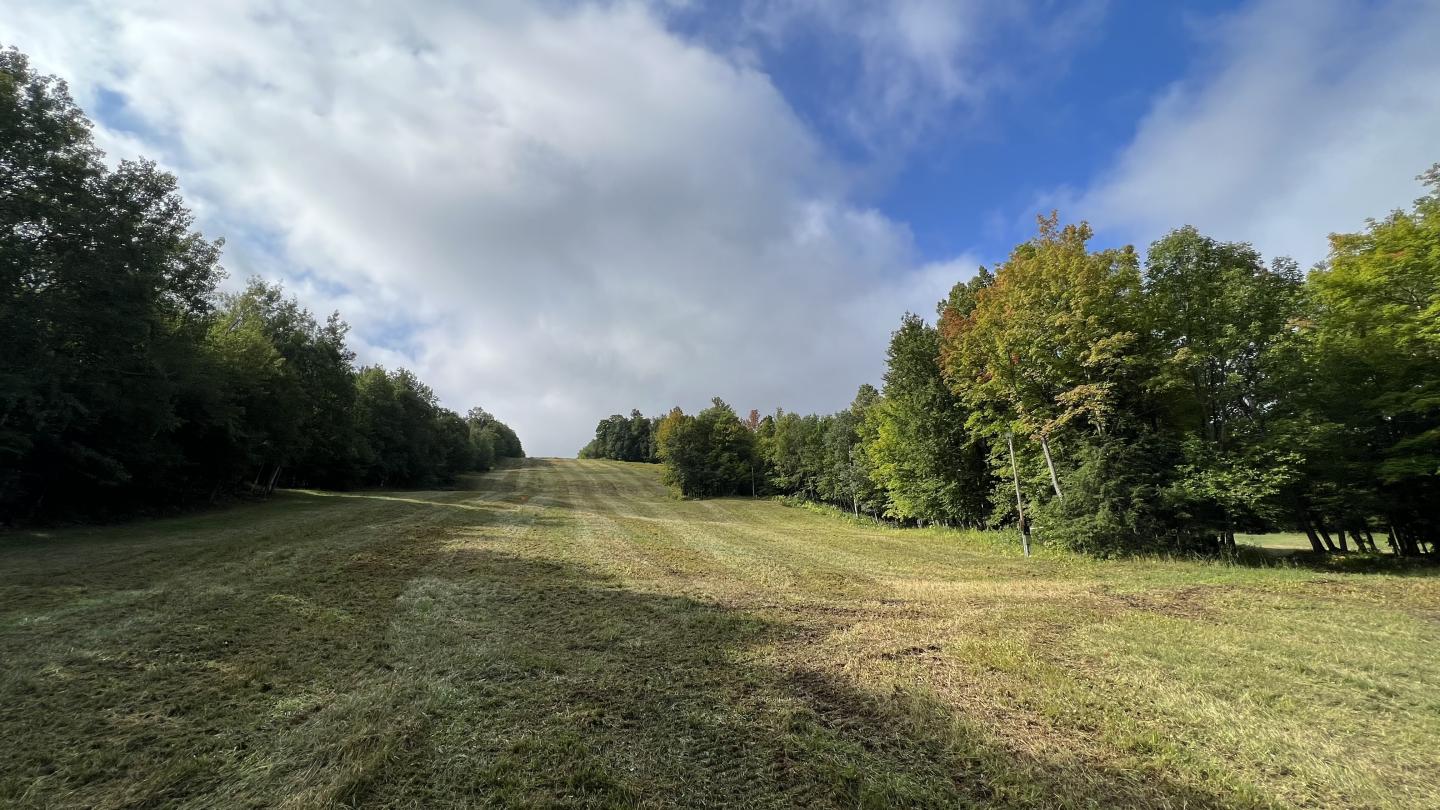 Freshly mowed ski run.