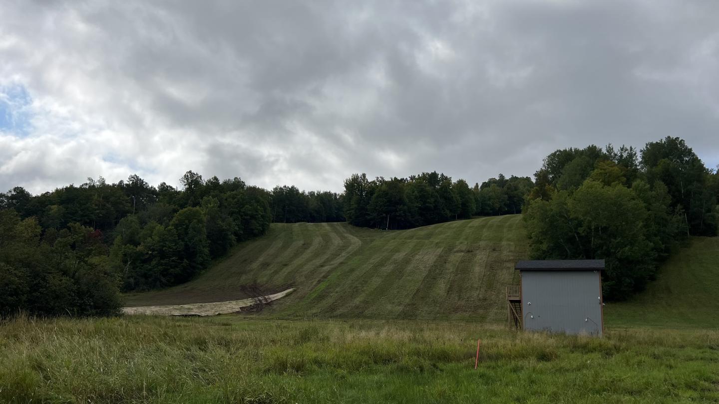 Freshly mowed ski runs at the base of the hill.